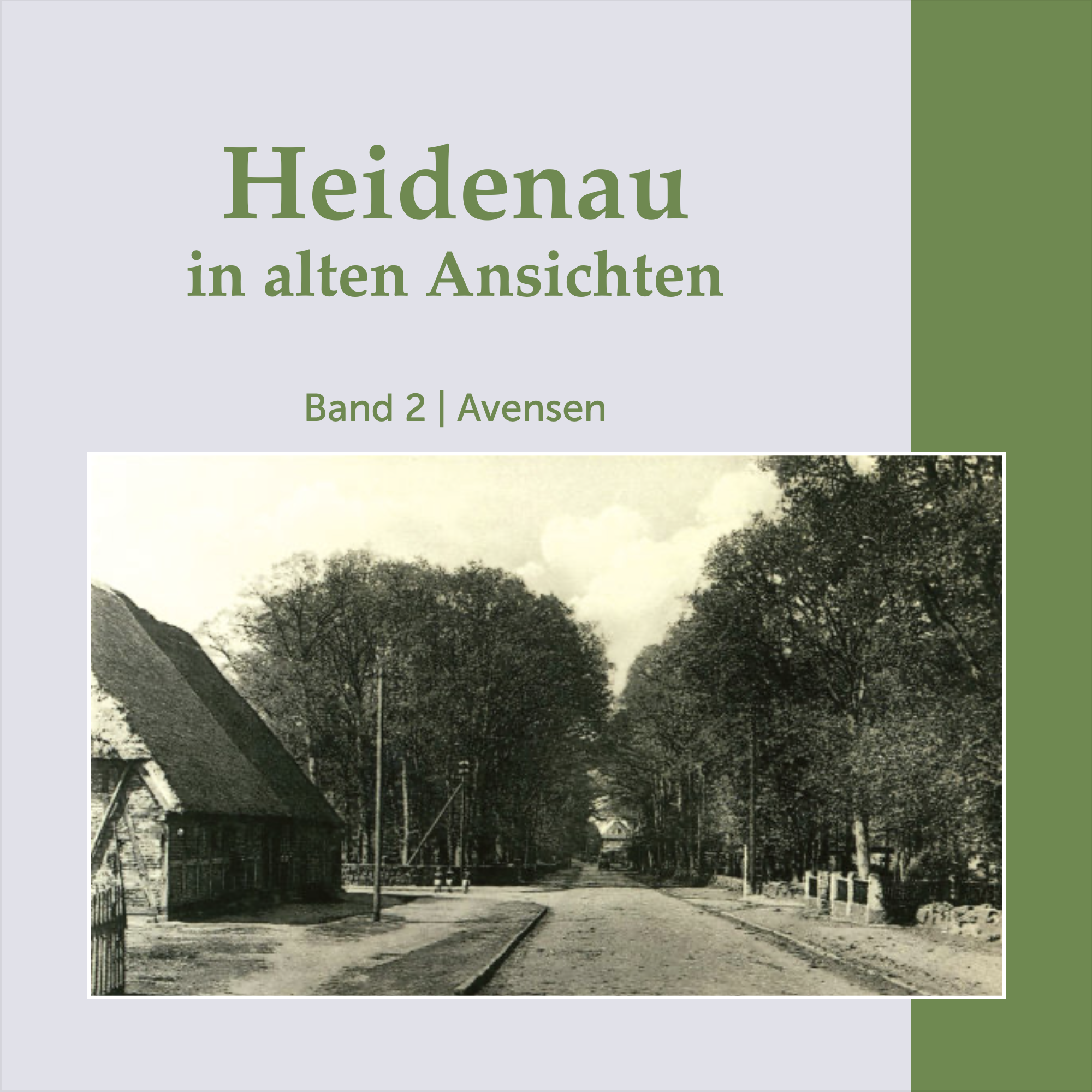 Buch Heidenau in alten Ansichten